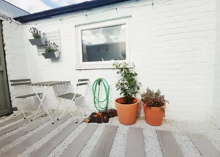 The Salty Seagull Ferienhaus Scarborough